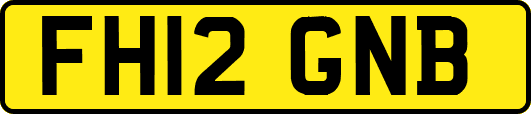 FH12GNB