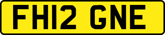 FH12GNE