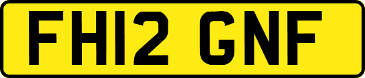 FH12GNF