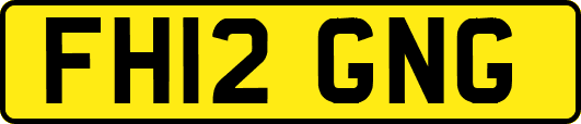 FH12GNG