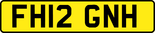 FH12GNH