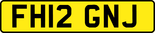 FH12GNJ