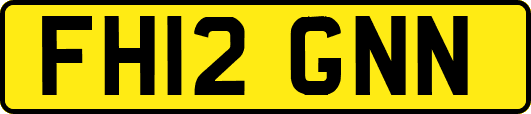 FH12GNN