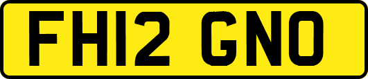FH12GNO