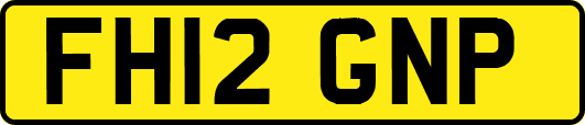FH12GNP