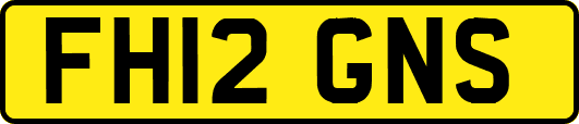 FH12GNS