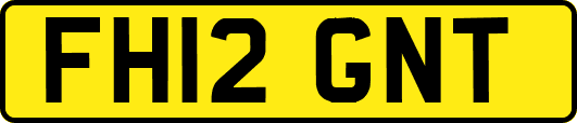 FH12GNT