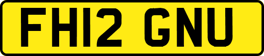 FH12GNU