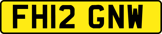 FH12GNW