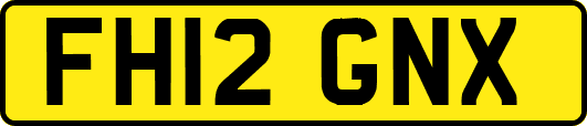 FH12GNX