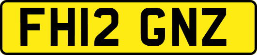 FH12GNZ