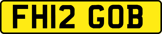FH12GOB