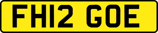 FH12GOE