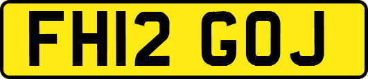 FH12GOJ
