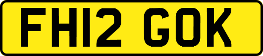 FH12GOK