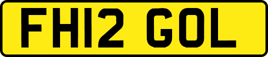 FH12GOL