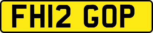 FH12GOP