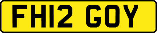 FH12GOY