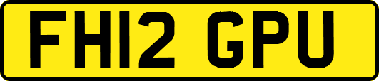 FH12GPU