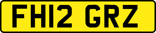 FH12GRZ