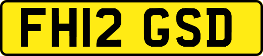 FH12GSD