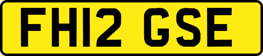 FH12GSE