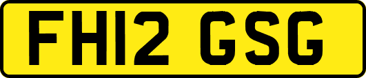 FH12GSG