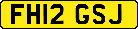 FH12GSJ