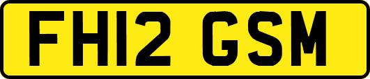 FH12GSM