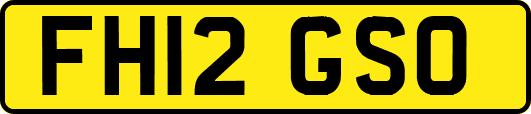 FH12GSO