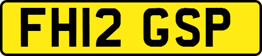FH12GSP