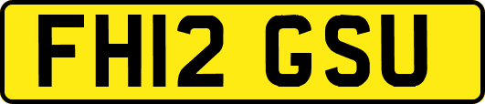 FH12GSU