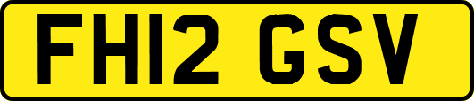 FH12GSV
