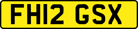 FH12GSX