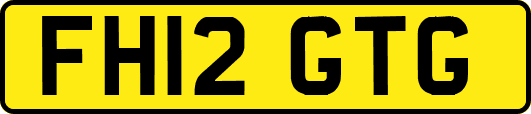 FH12GTG