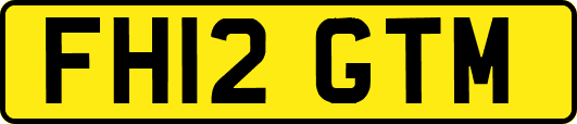 FH12GTM
