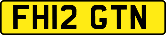 FH12GTN