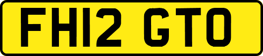 FH12GTO