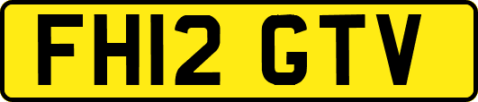 FH12GTV