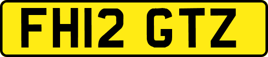 FH12GTZ