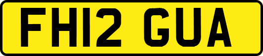 FH12GUA