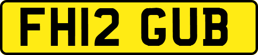 FH12GUB