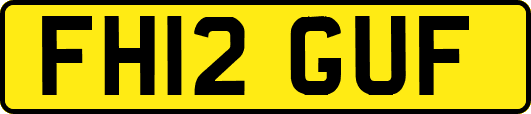 FH12GUF