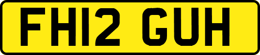 FH12GUH