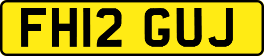 FH12GUJ