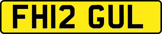 FH12GUL