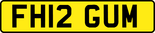 FH12GUM