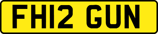 FH12GUN
