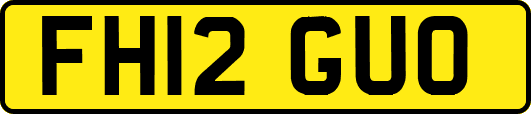 FH12GUO