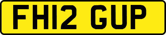 FH12GUP